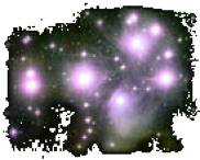 Twitterにツイッター？